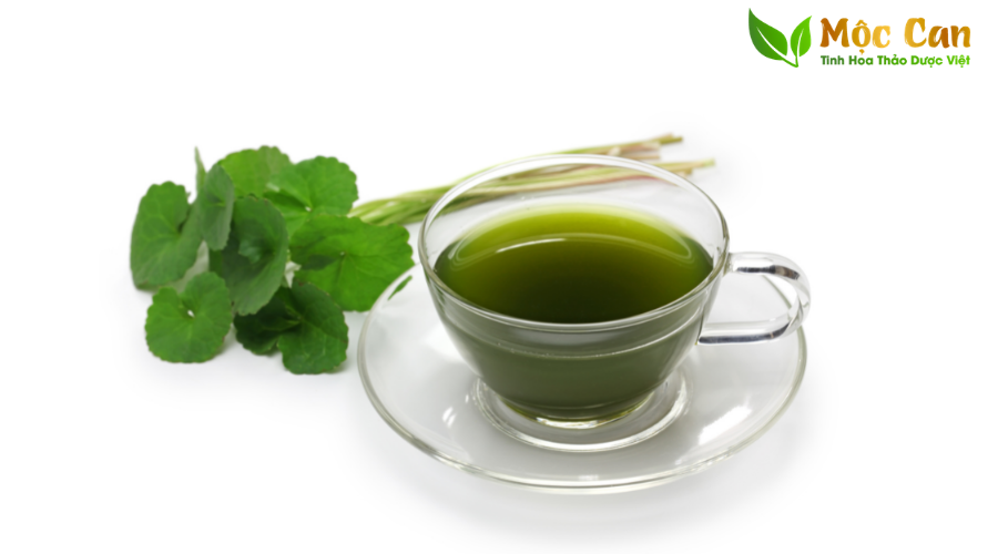 Điều trị tiểu đường từ thảo dược tự nhiên 4